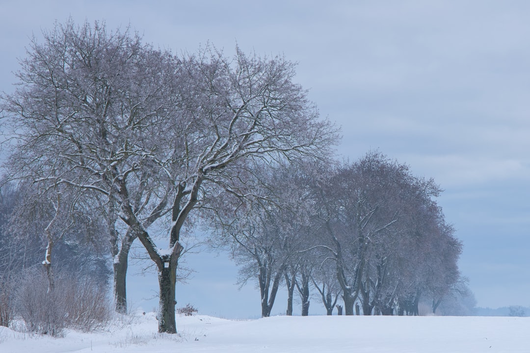Top Winter Survival Tips: Stay Safe and Warm